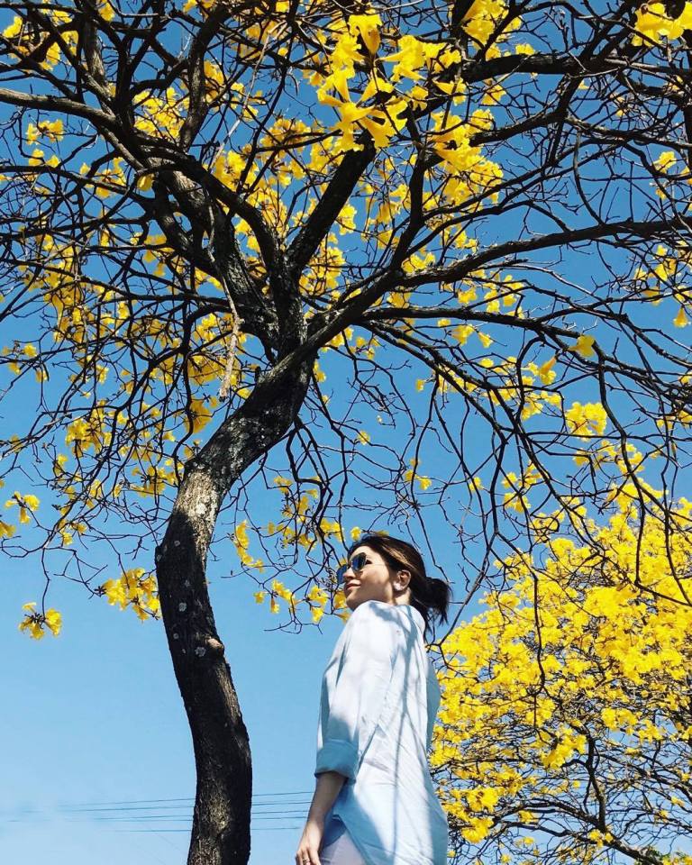 21169126_10159150241030621_623078559_o